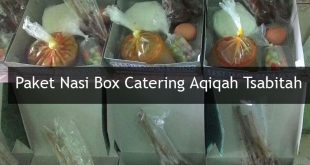 Paket Nasi Box Catering Aqiqah Tsabitah